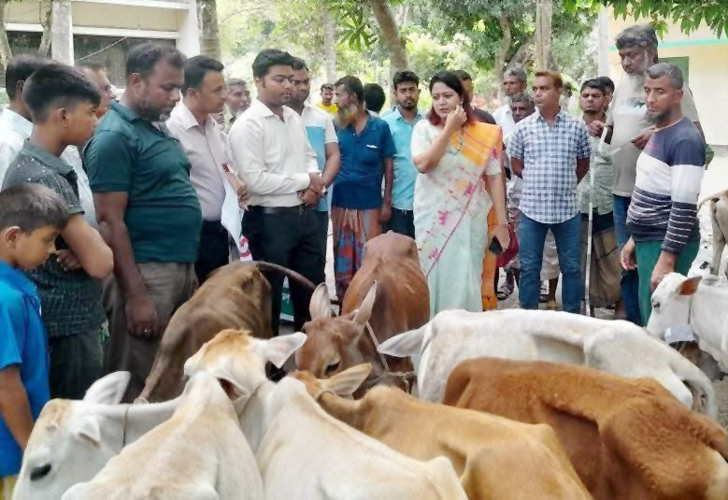 ফেরত গেল বিতরণের জন্য নিয়ে আসা বকনা বাছুর