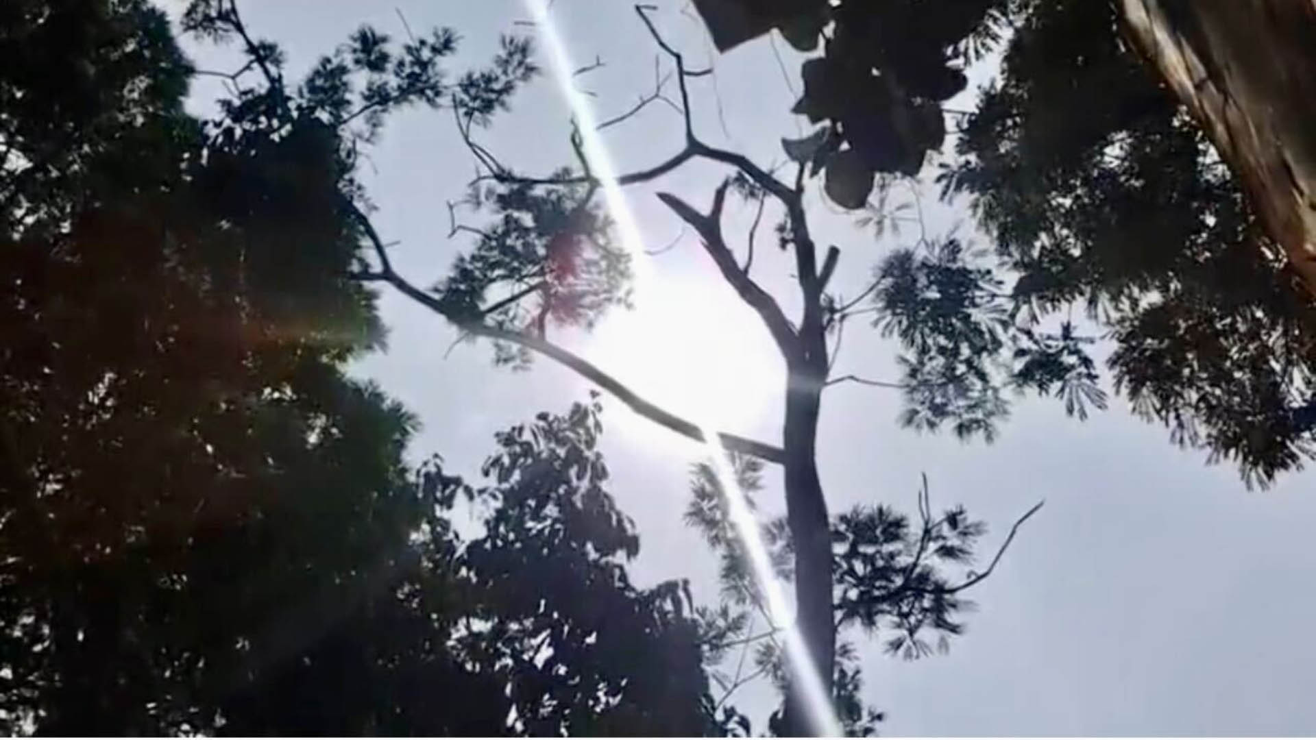 ভ্যাপসা গরমে দিশেহারা পটুয়াখালীর মানুষ