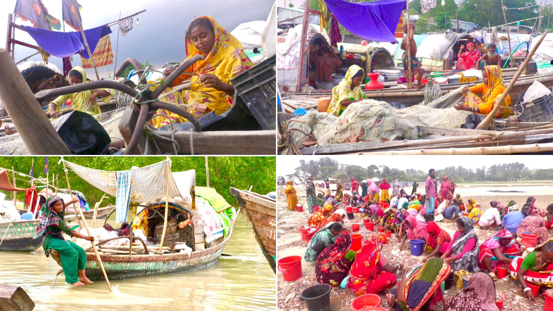 জেলে নন উপকূলের নারী মৎস্যজীবীরা