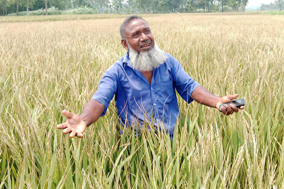 কৃষকের স্বপ্ন পুড়ে ছাঁই ইটভাটার কালো ধোয়ায়