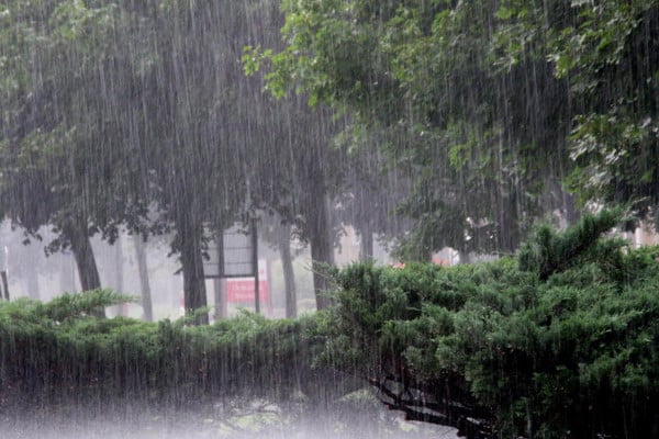 যেসব অঞ্চলে পাঁচ দিন টানা বৃষ্টির সম্ভাবনা