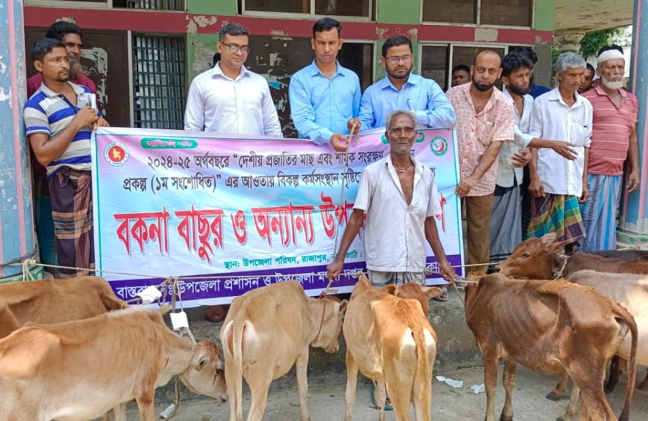 রাজাপুরে জেলেদের মাঝে বকনা বাছুর বিতরণ
