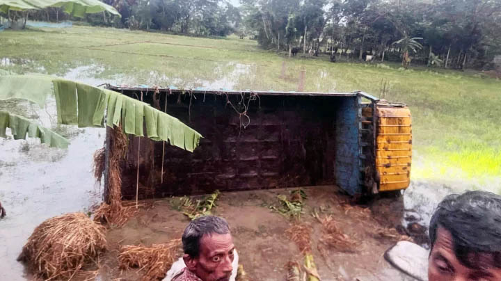 গরুবোঝাই ট্রাক উল্টে পটুয়াখালীতে ব্যবসায়ী নিহত