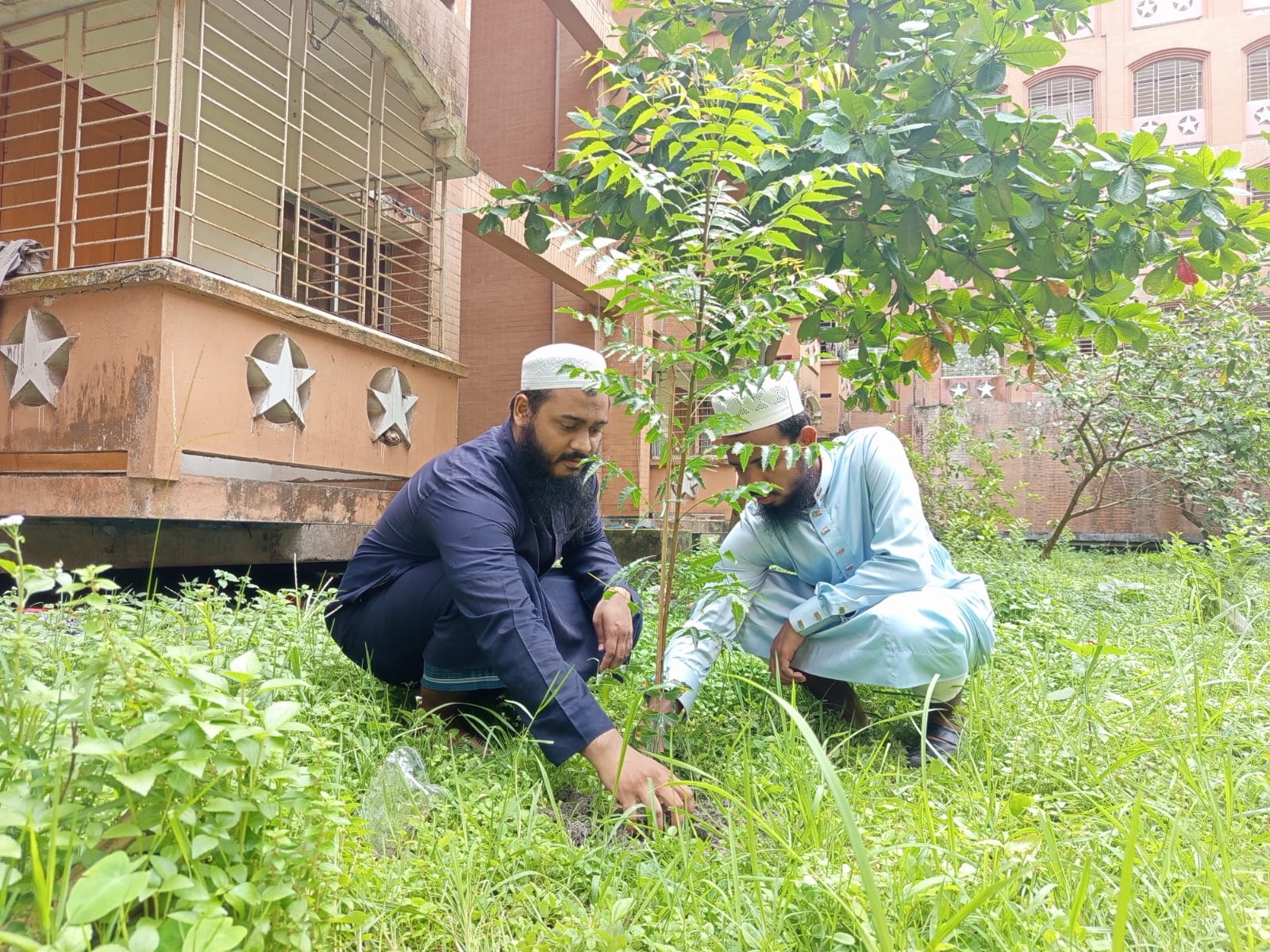 ববিতে ছাত্র আন্দোলনের বৃক্ষরোপণ ও পরিচ্ছন্নতা অভিযান