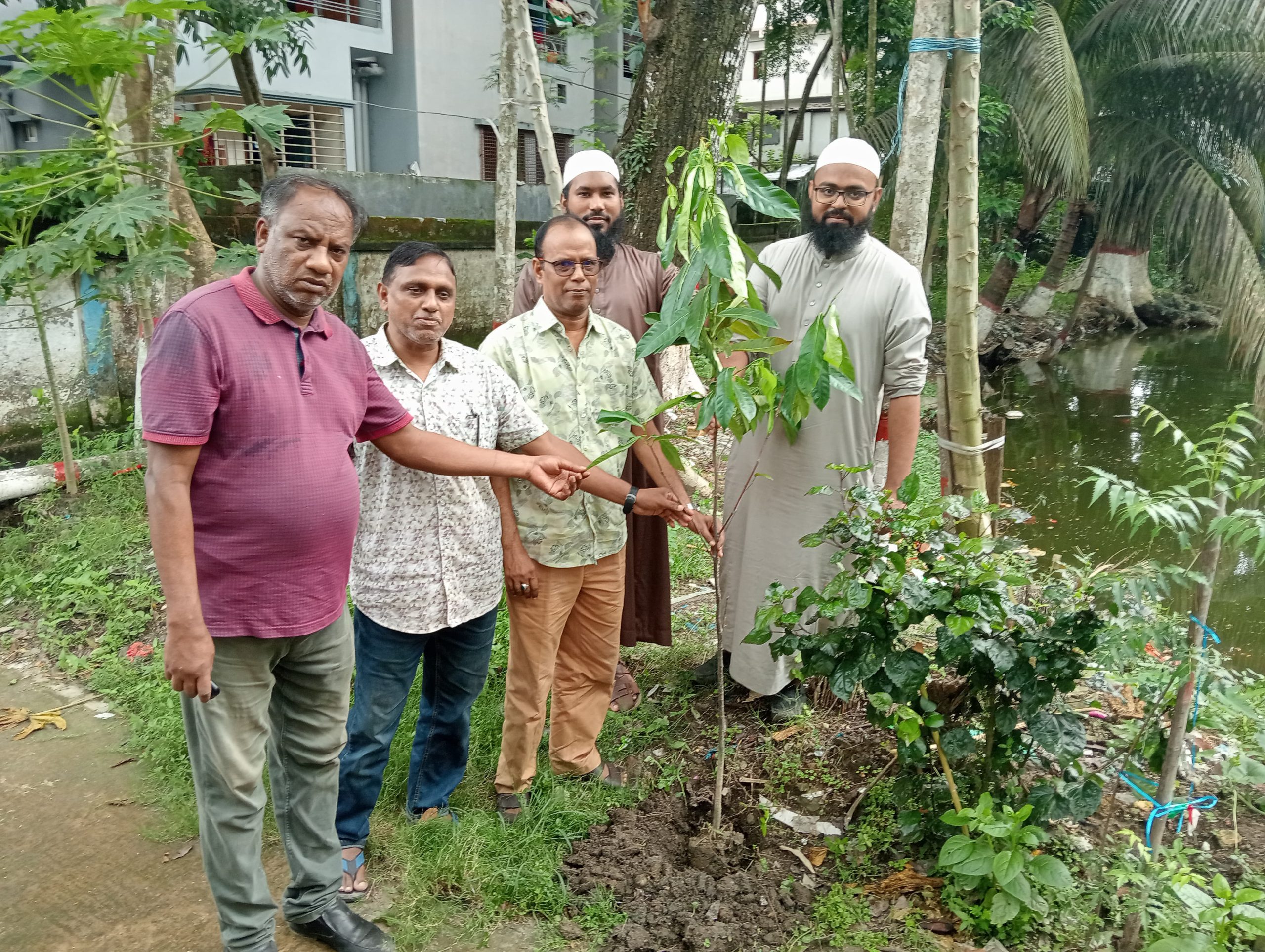 বরিশালে ইসলামী ছাত্র আন্দোলনের বৃক্ষরোপণ কর্মসূচি