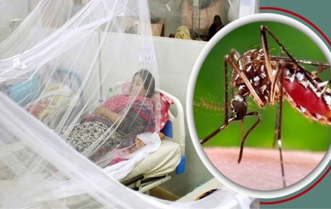 ডেঙ্গুতে আক্রান্ত বরিশালে আরও ১১০ জন