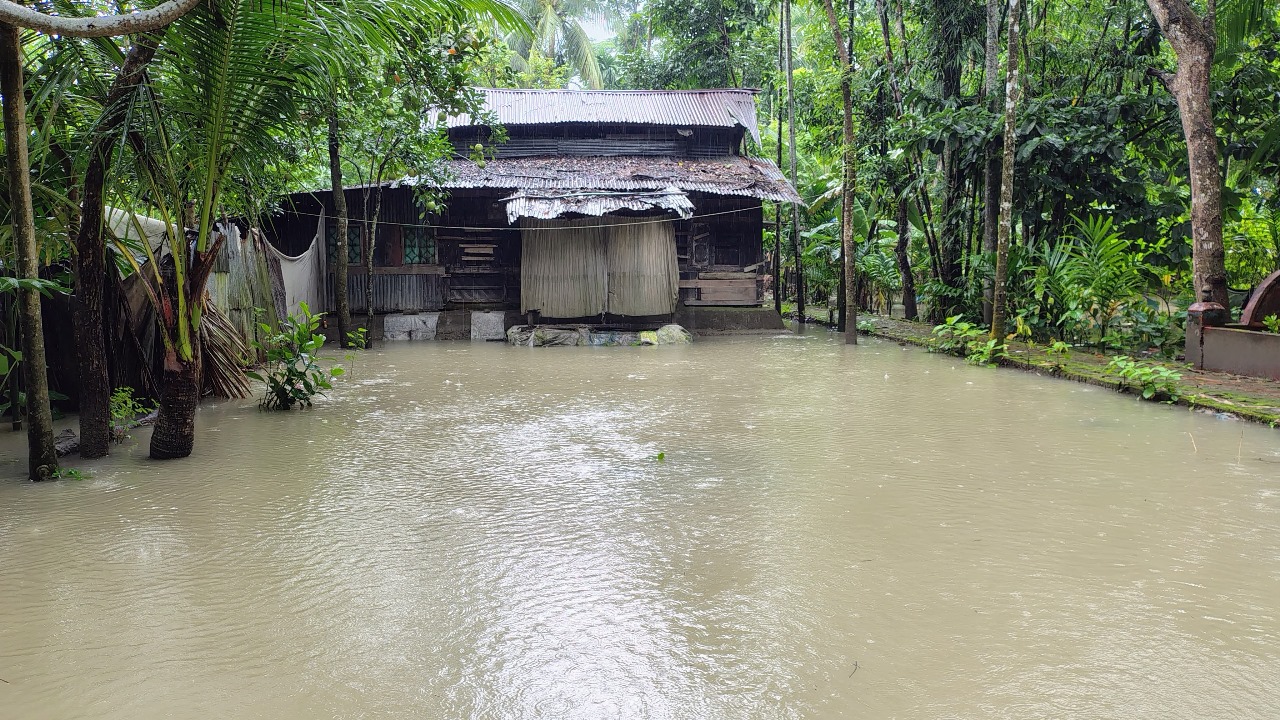 পিরোজপুরে নদ-নদীর পানি বৃদ্ধি, প্লাবিত শতাধিক গ্রাম