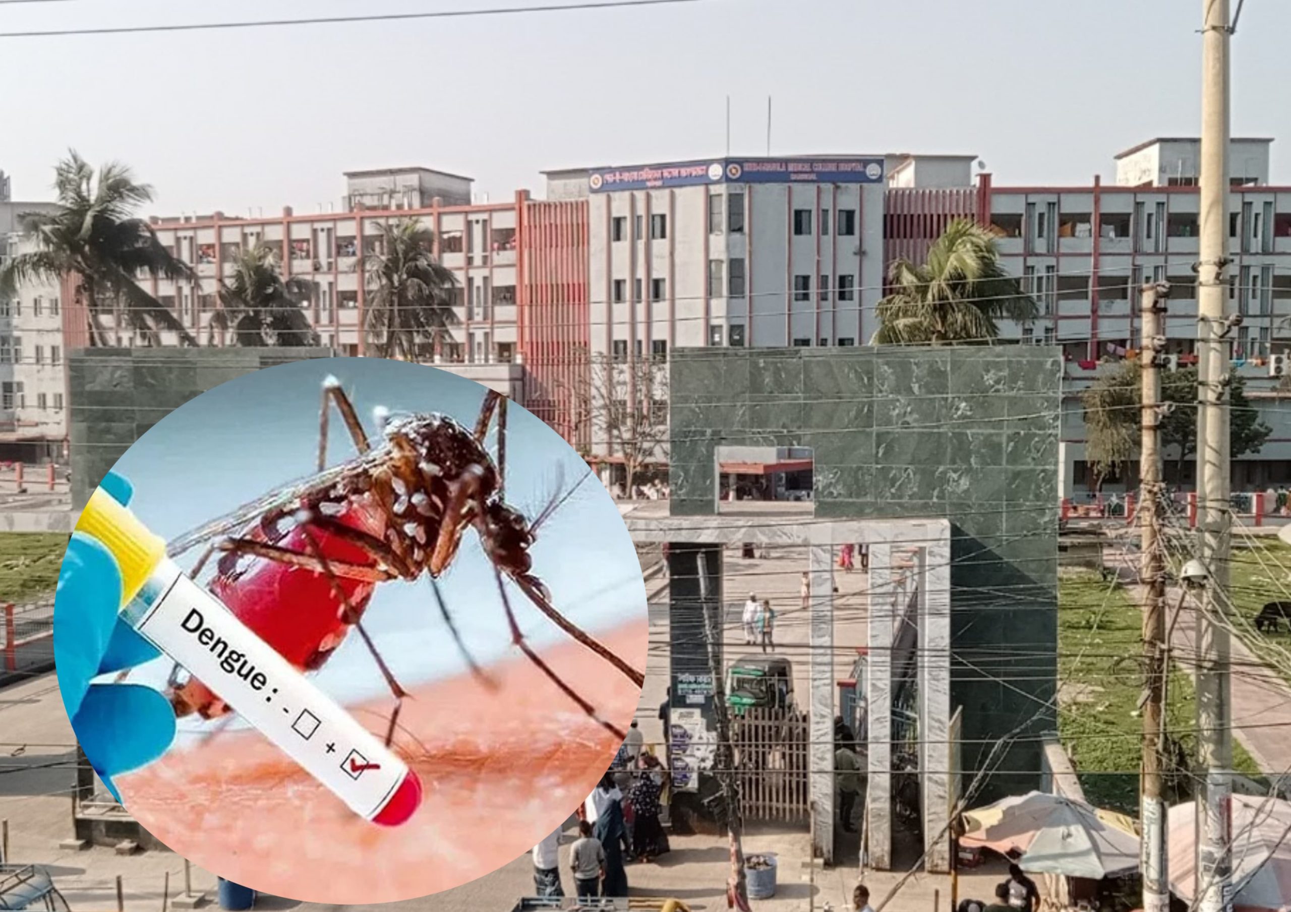 শেবাচিমে ডেঙ্গুতে ২ জনের মৃত্যু