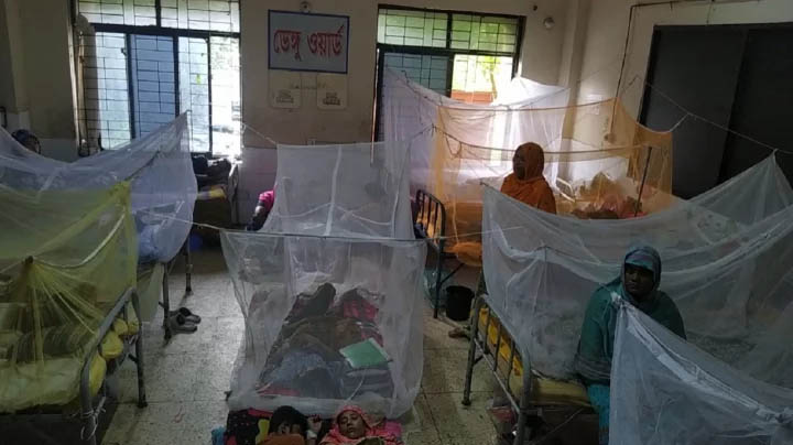আবারও ডেঙ্গু সংক্রমণ বেড়েছে বরগুনায়