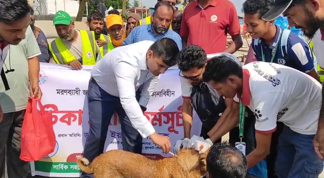 কলাপাড়ায় বেওয়ারিশ কুকুর ও বিড়ালকে টিকা প্রদান কর্মসূচি