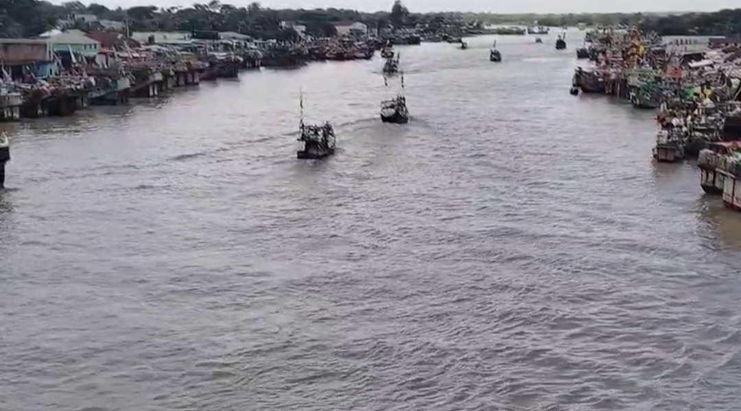 আজ মধ্যরাত থেকে জাটকা ইলিশ শিকারে ৮ মাসের নিষেধাজ্ঞা