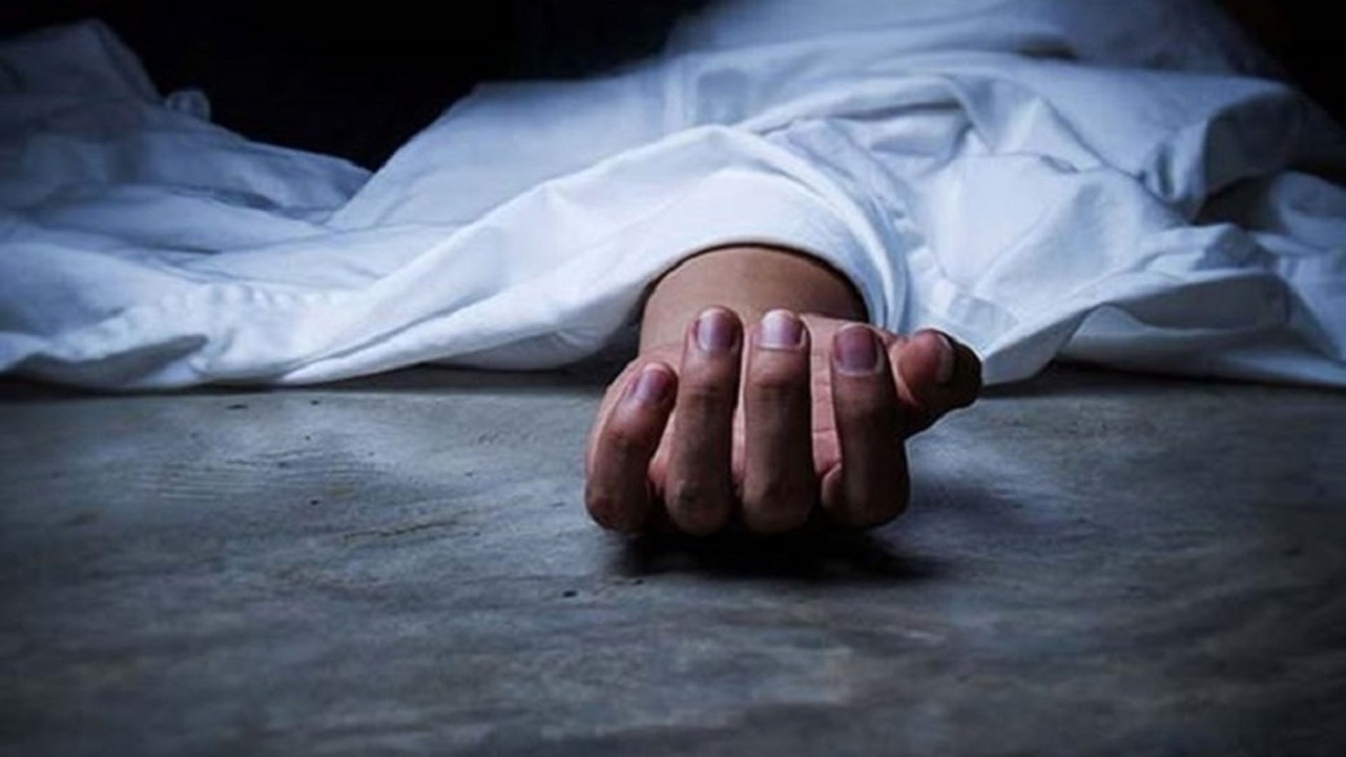 হাতিরঝিলে পিকআপ ভ্যানের ধাক্কায় নিহত ১