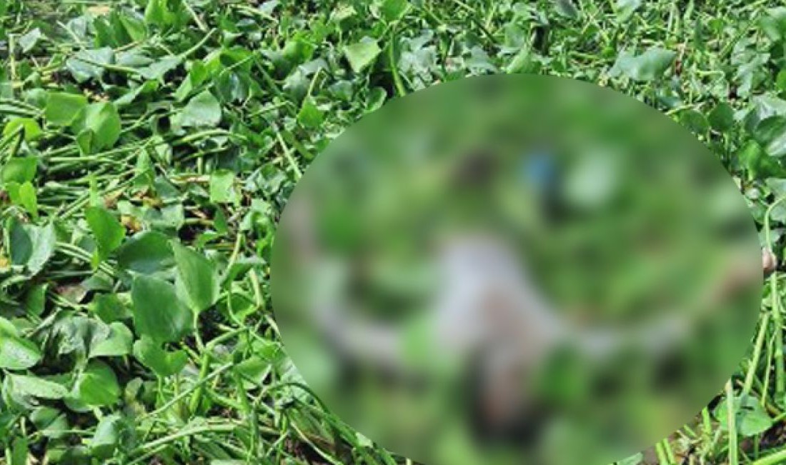 বুড়িগঙ্গা থেকে অজ্ঞাত যুবকের মরদেহ উদ্ধার 