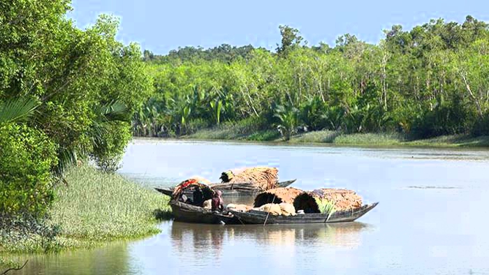 ‎বিষ, প্লাস্টিক ও শিল্পবর্জ্যের আগ্রাসনে অস্তিত্ব সংকটে সুন্দরবন: বিপন্ন জীববৈচিত্র্য