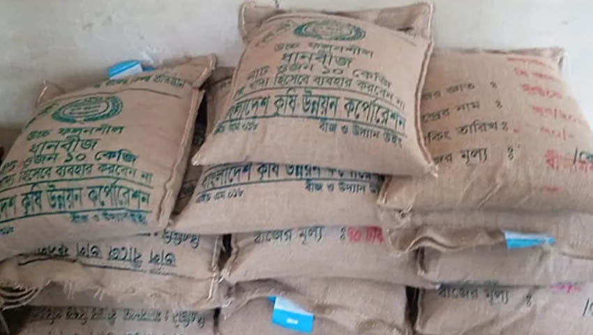 জামায়াত নেতার মাদরাসায় মিলল সরকারি ধানের বীজ