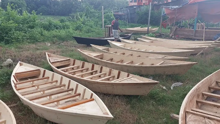 ব্যবহার কমেছে, টিকে আছে কোষা নৌকার ঐতিহ্য