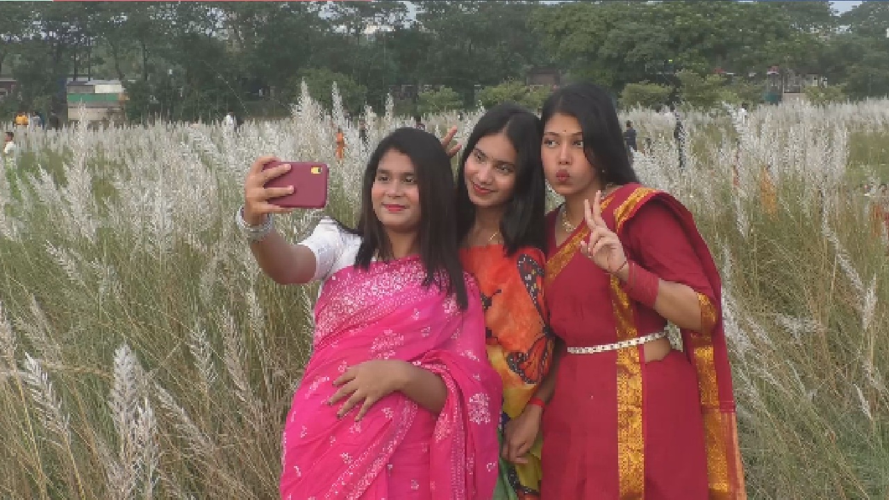 সাদা কাশফুলের পসরায় সেজেছে কেরানীগঞ্জ